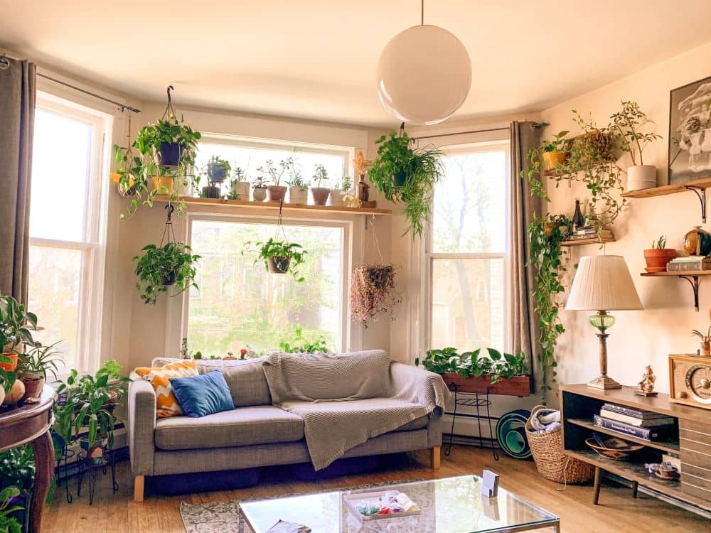 How To Start Create an Indoor Garden For Your NYC Apartment in Spring -  Real Estate Topics, Tips, and Guides