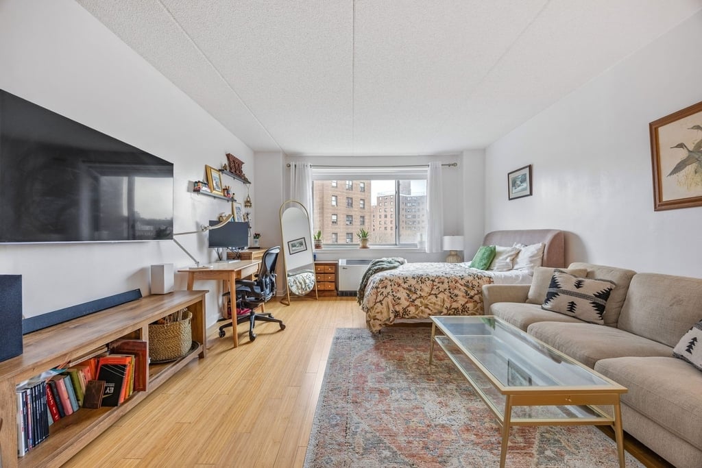 Manhattan apartment with natural light