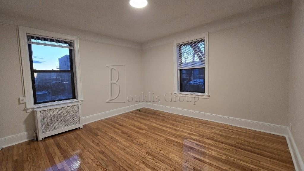 Queens apartment with windows