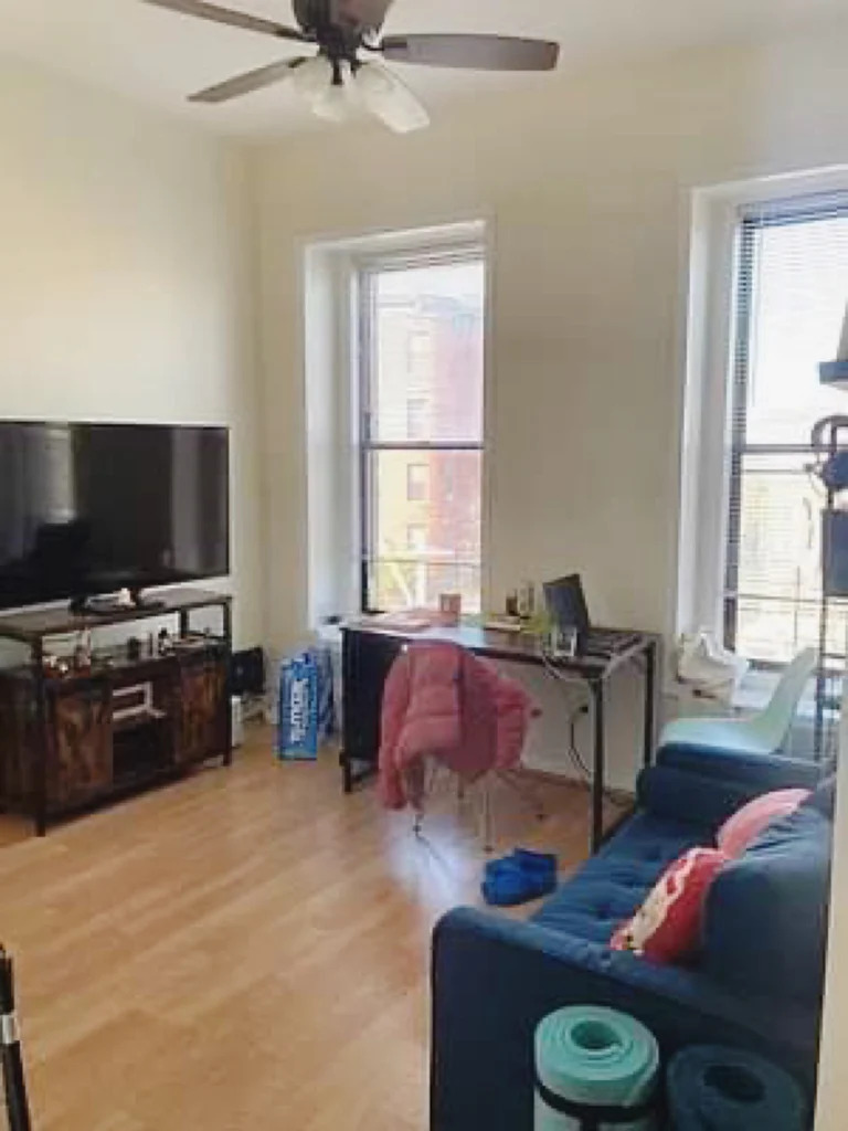 Apartment with two windows in Brooklyn