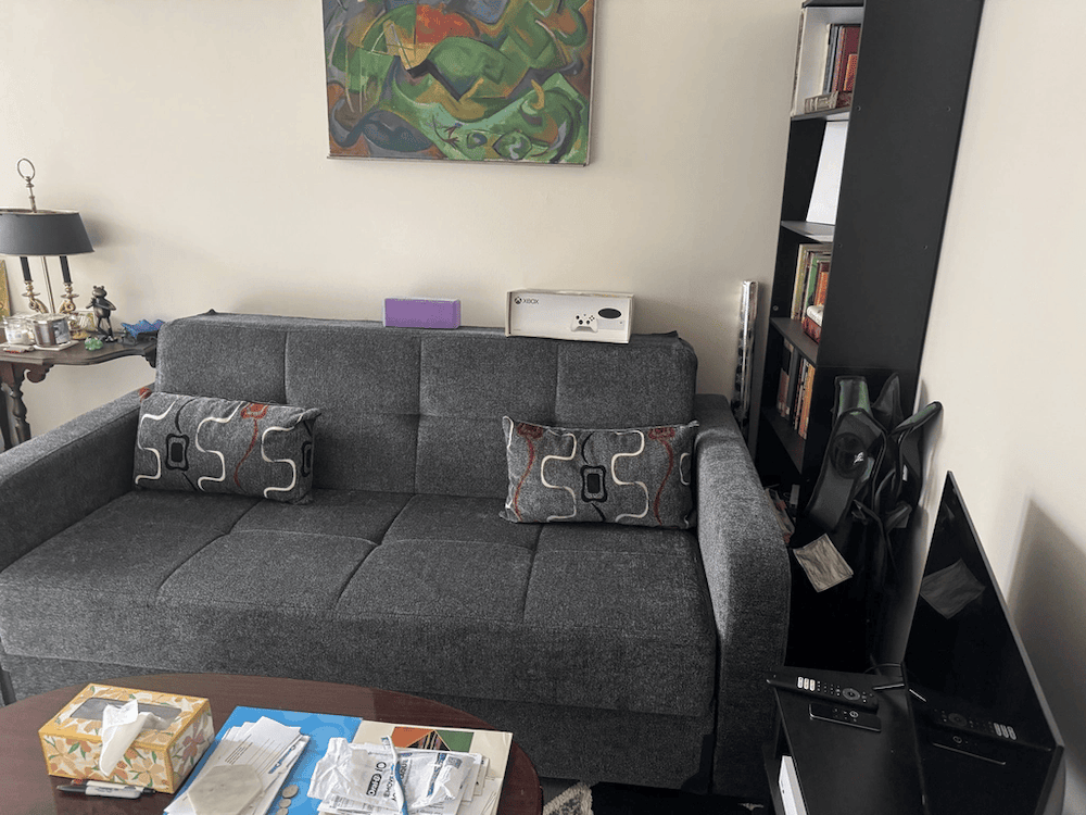 Living room of an affordable Astoria apartment in Queens in September of 2025