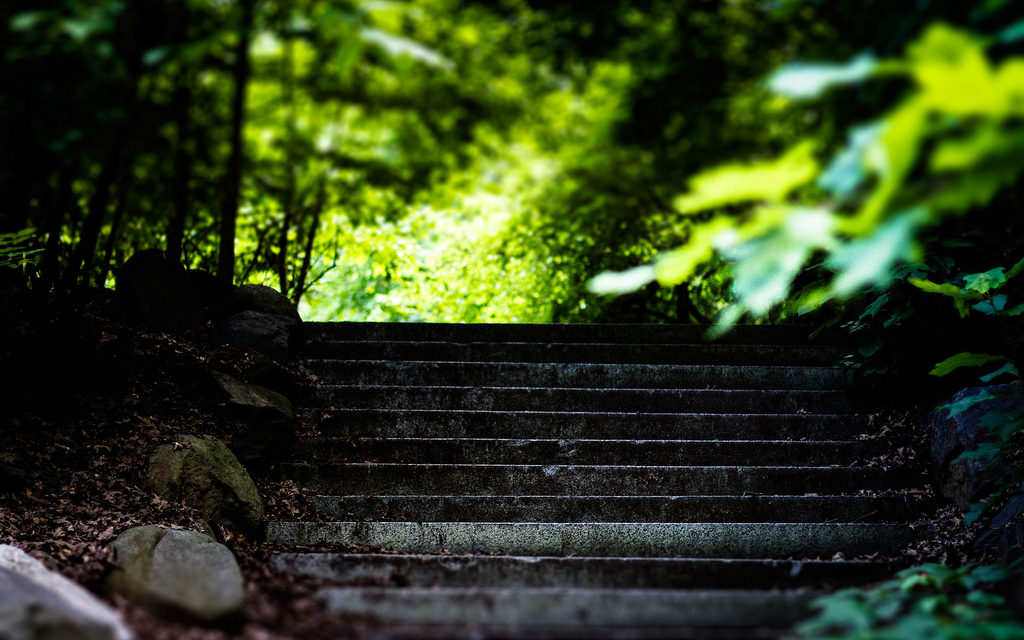 Prospect Park