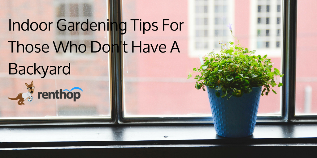 indoorgardeningtips