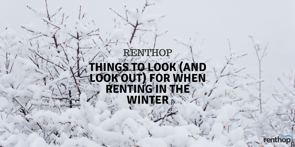 winterrenting