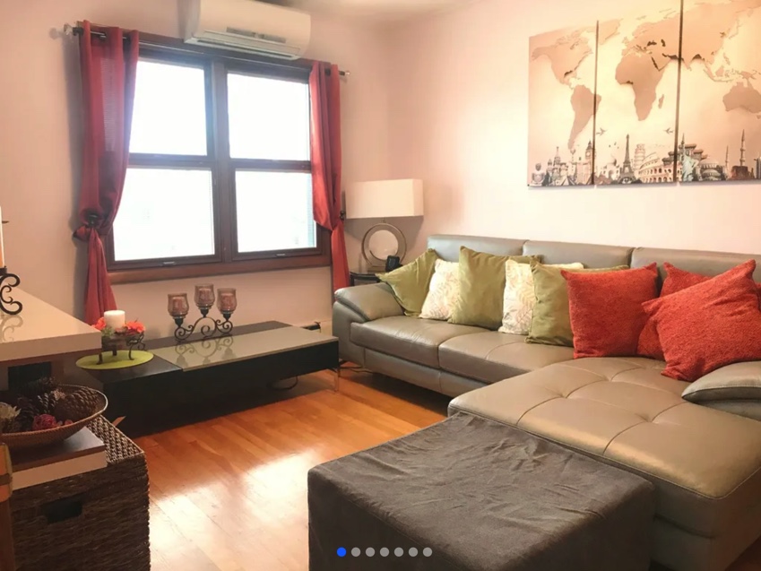 apartment photo of living room with sofa and decoration