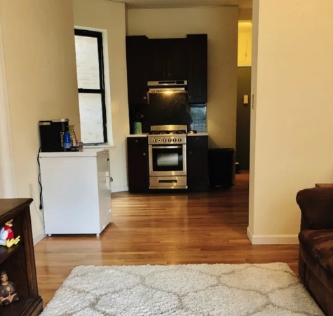 apartment photo of living room and kitchen with sofa and throw rug