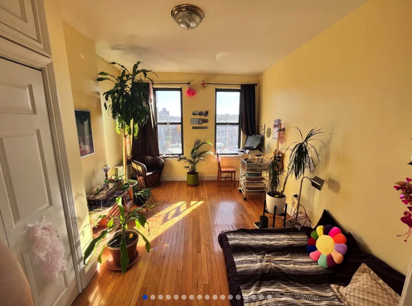 photo of living room with couch, plants, and other miscellaneous furniture