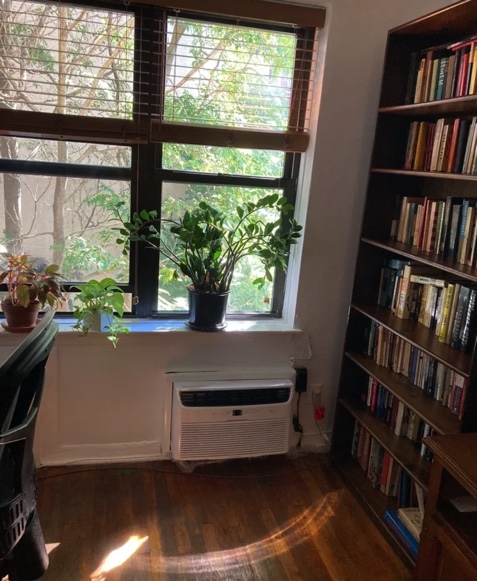 photo of living space with bookshelf and window