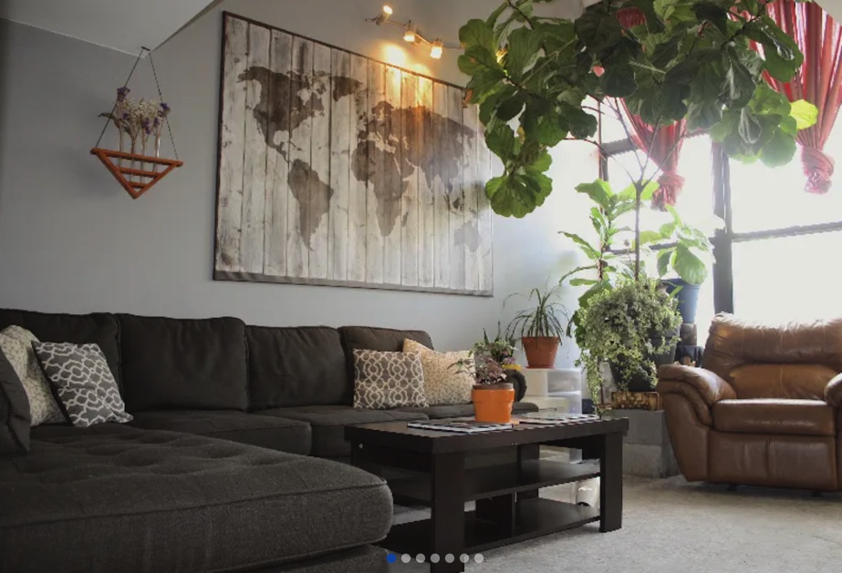 photo of apartment living room with sofa, coffee table, and plant