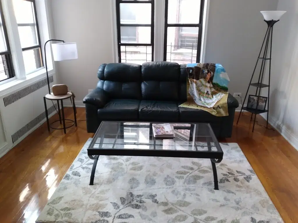 apartment listing photo of living room couch