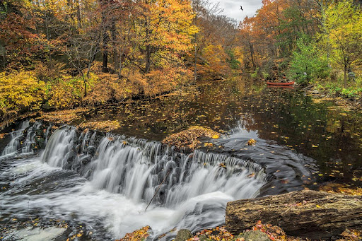 The Bronx River waterfalls.