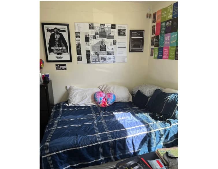 apartment listing photo of an furnished room with bed