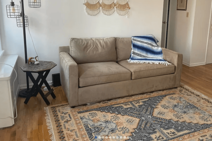apartment living room with couch, rug, lamp