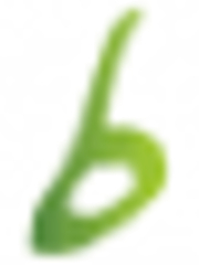 Bohemia Rentals - Agent Photo
