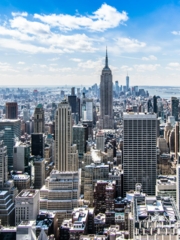 Bri Property Management NYC - Agent Photo