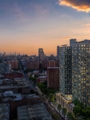 1440 Amsterdam - Agent Photo