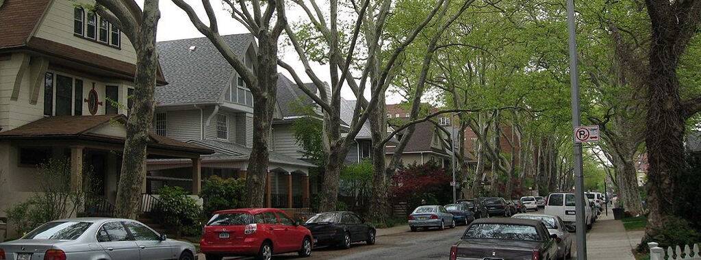 Central Brooklyn Apartments