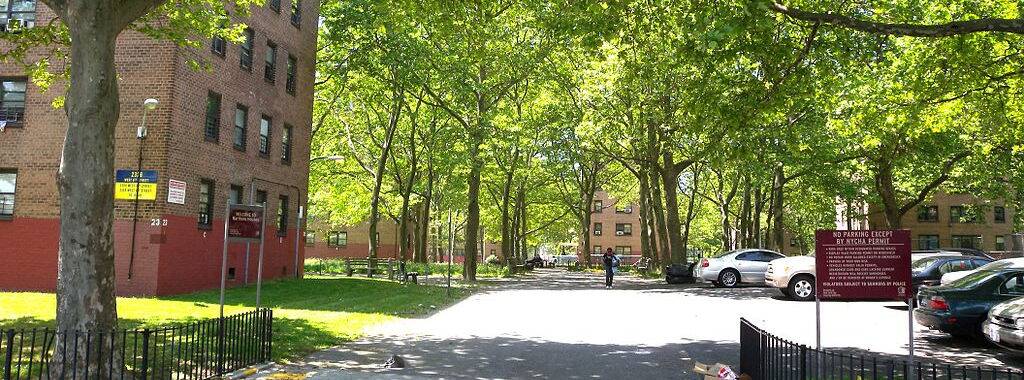 Southern Brooklyn Apartments