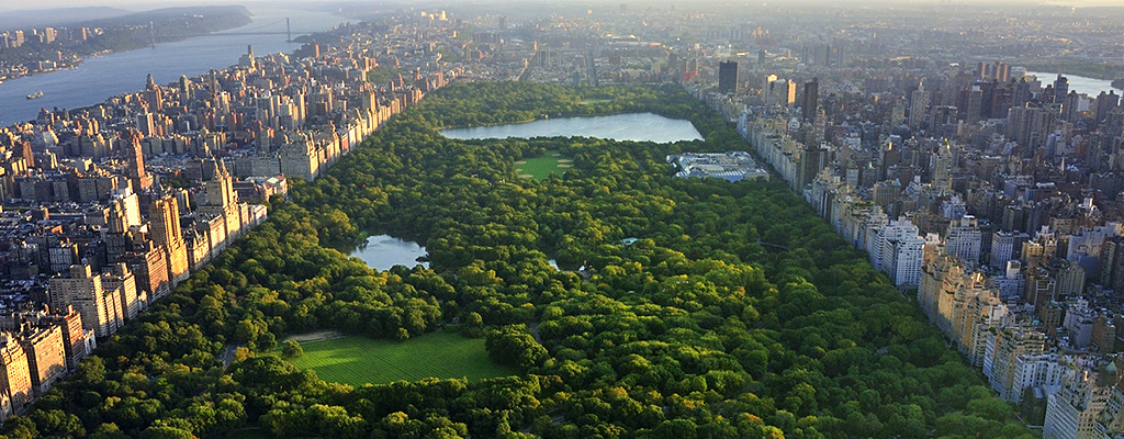 Background - Central Park