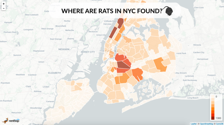 Rats Continue to Thrive in New York City Especially During Summer
