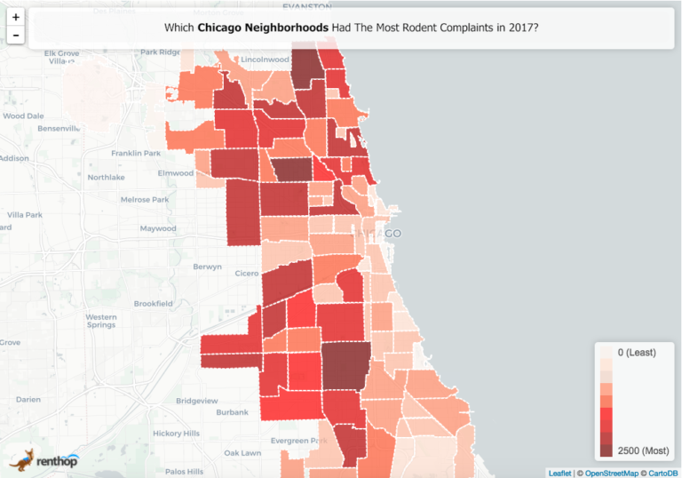 Chicago’s Rat Complaints Continue to Grow