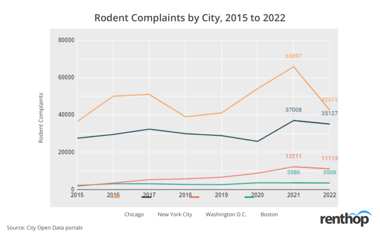 Rats Roam Free in Four Major U.S. Cities